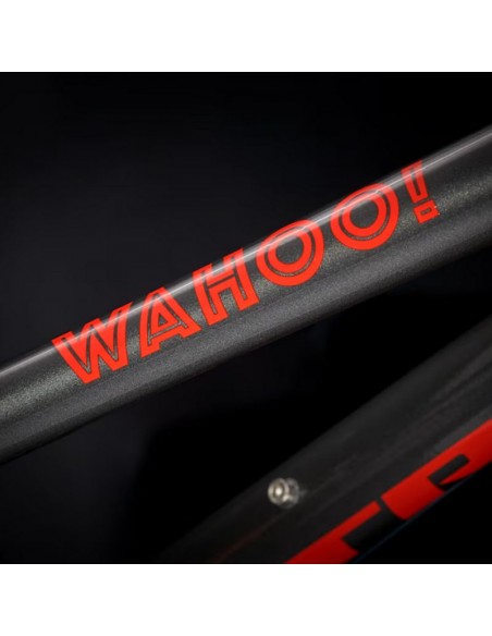 Trek Wahoo 20" Path | Bicicleta Infantil Ligera | 8 Velocidades | Borrascas