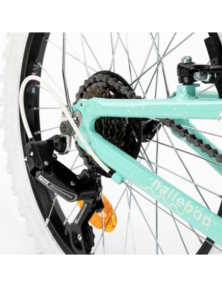 Conor HaleBop 20" | Bicicleta Infantil con Marchas | Borrascas