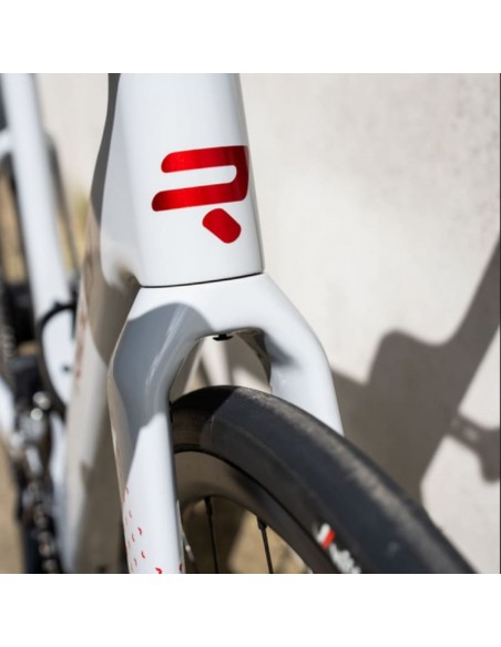 Bicicleta Eléctrica All-Road Ridley E-Grifn - Shimano 105 Di2 12v