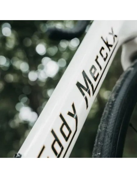 Eddy Merckx Mendrisio Edición Limitada - La Leyenda del Adoquín