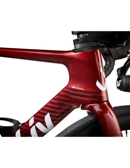 GIANT EnviLiv Advanced 2