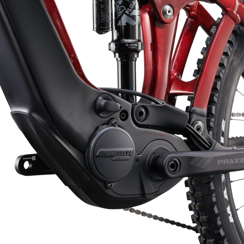 GIANT Reign Advanced E+ 2