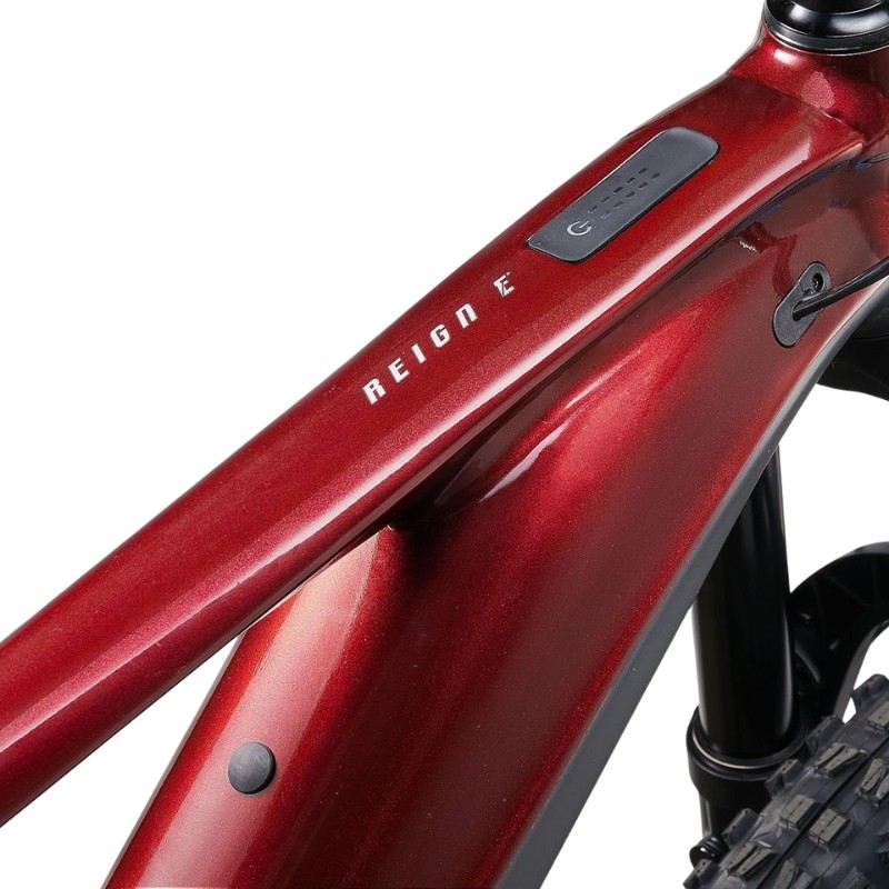 GIANT Reign Advanced E+ 2