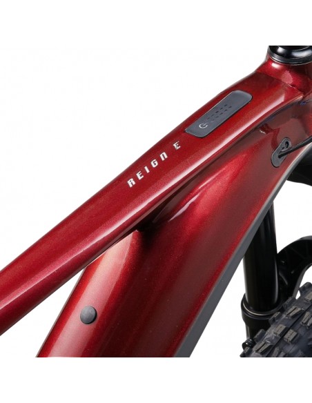 GIANT Reign Advanced E+ 2