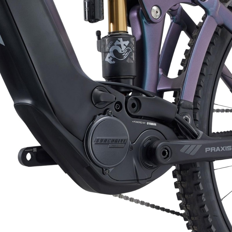 GIANT Reign Advanced E+ 1