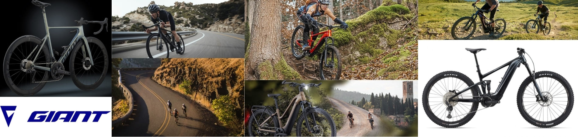 Bicicletas Giant: Innovación líder en Bicicletas Borrascas