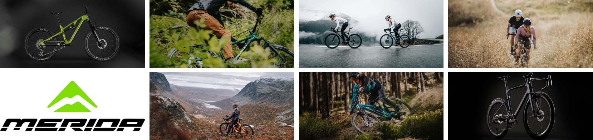 Bicicletas Merida: Ingeniería Alemana y Fiabilidad Global en Bicicletas Borrascas
