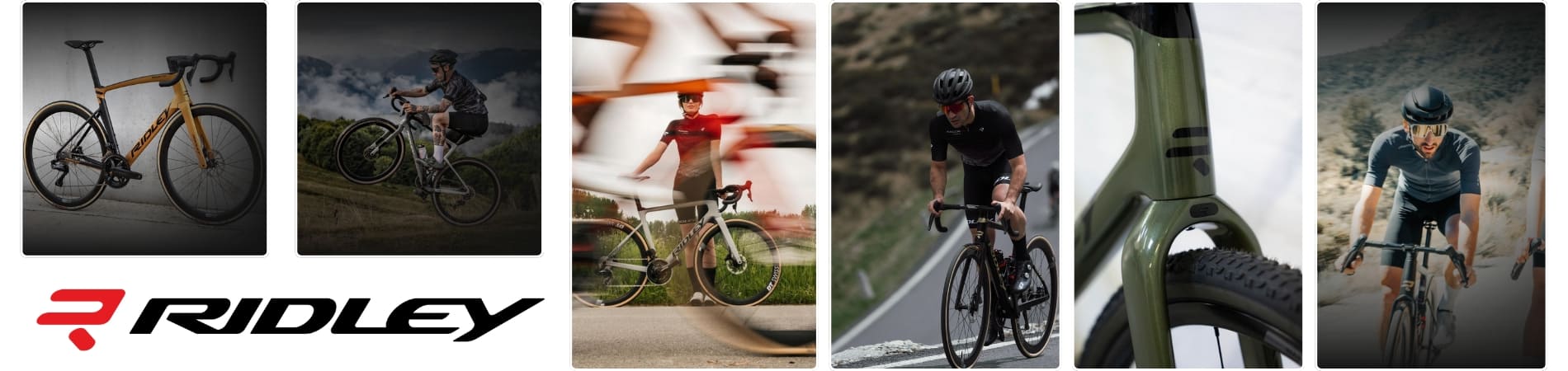 Bicicletas Ridley: ADN Belga y Resistencia en Bicicletas Borrascas