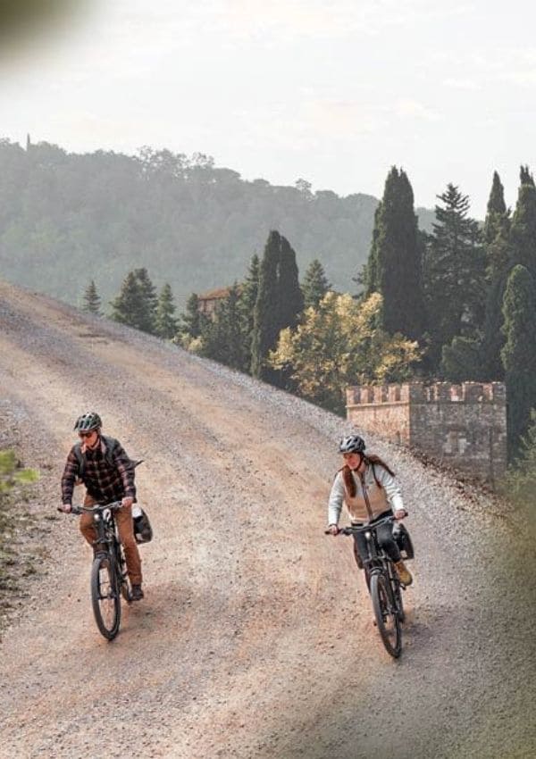 E-MTB de doble suspensión con motores Bosch y Shimano en Centros Borrascas.